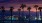 a city skyline at night
