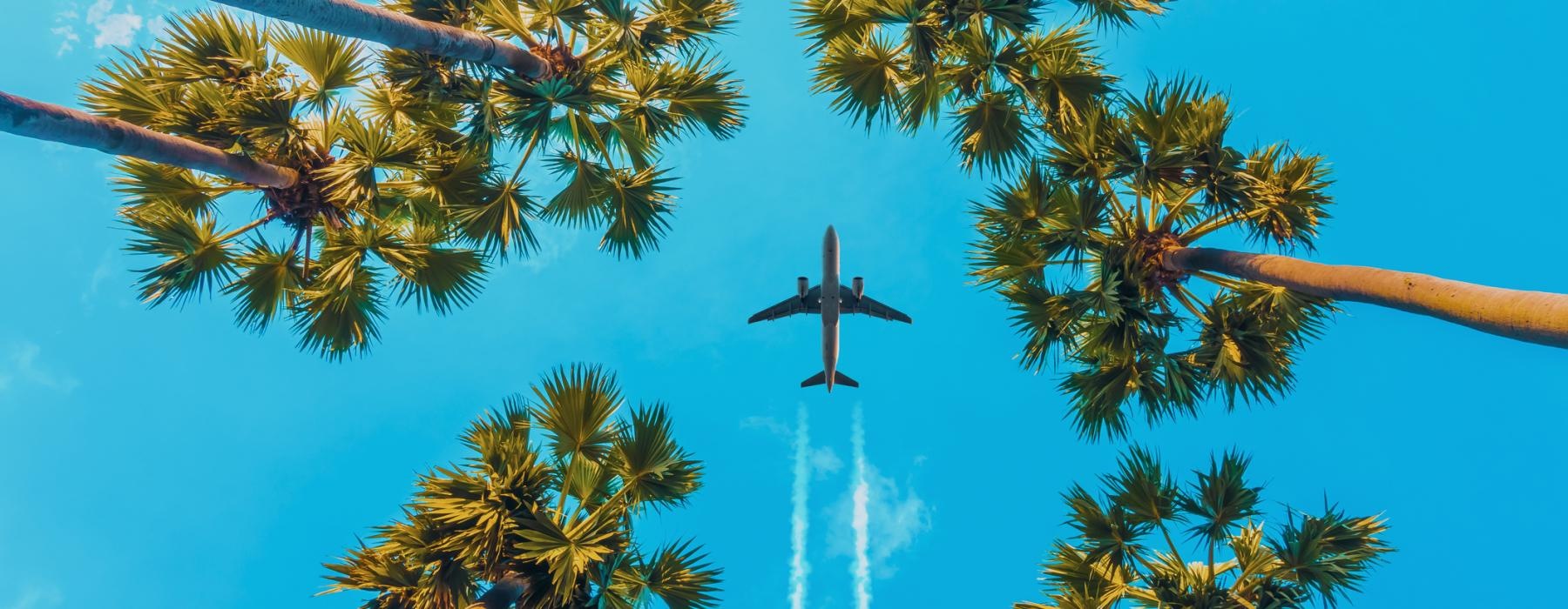 a plane flying through the air